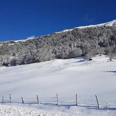 Wilson Aparthotel 3*